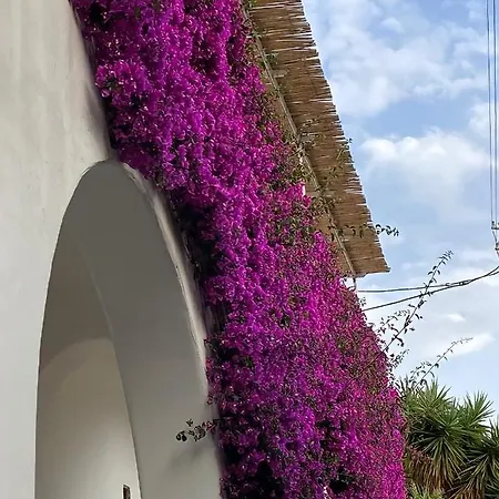 Roberhouse Tragara 37 Apartment Capri Exterior photo